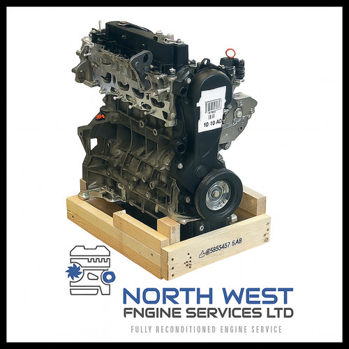 Brand new genuine complete - genuine,