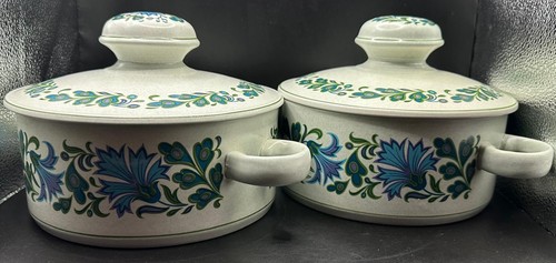 Midwinter spanish garden - midwinter,