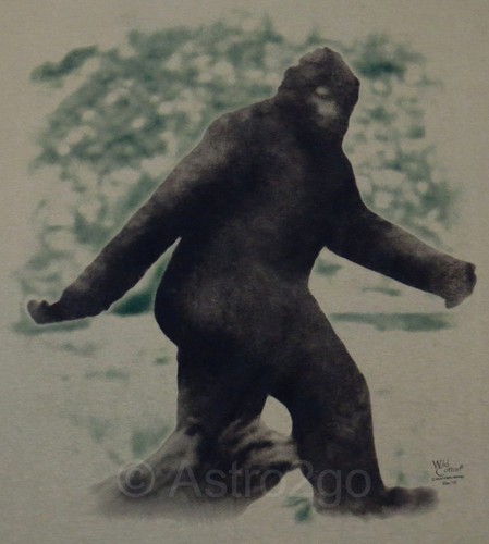 Bigfoot sasquatch myth legend - bigfoot, sasquatch--myth