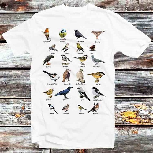 British garden birds - garden, wild
