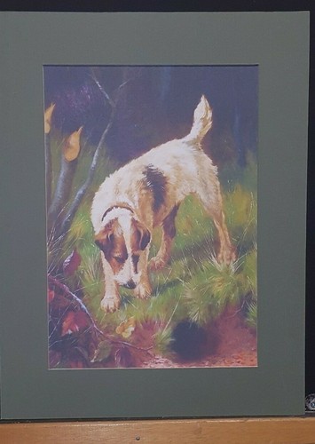 Jack russell ferreting - jack,