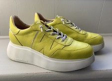 Wonders A-2650  Spanish Lime