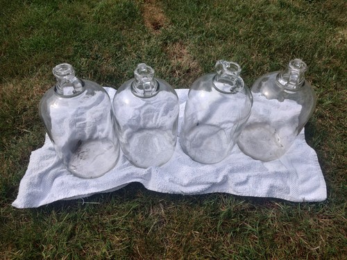 Four glass demijohns - glass, l
