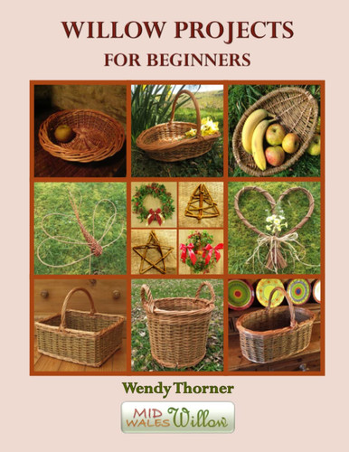 Willow projects for - willow, beginners