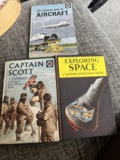 These Are Nice Old Ladybird