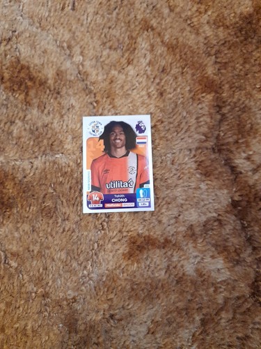 Panini premier league 2024 - panini,