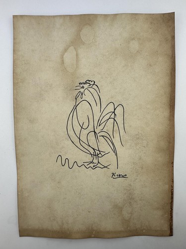 Pablo picasso drawing - pablo,