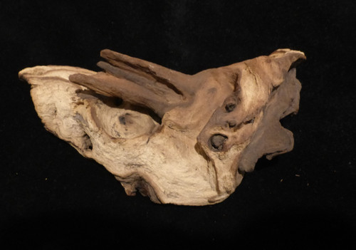 Aquarium mopani wood fish - mopani,