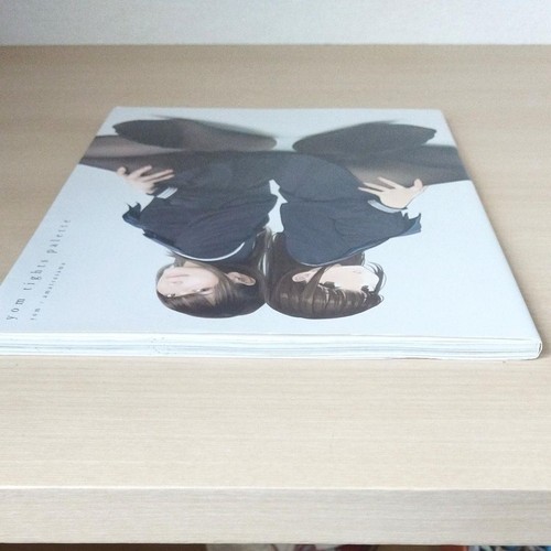 Official art book - official, illustration