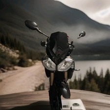 Puig Screen Black Triumph Street Triple 675 13-16 Speed Triple 1050 R 11-15