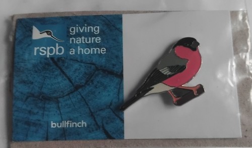 Rspb pin badge bullfinch - badge,