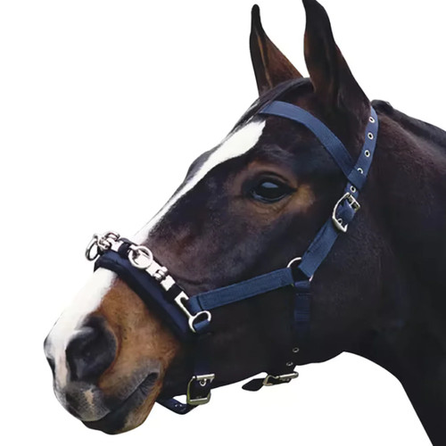 Kincade coordinate lunge - kincade,