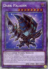 BLMM-EN008 Dark Paladin 