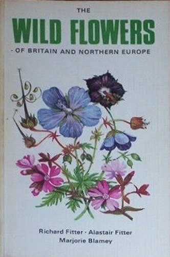 Wild flowers britain - flowers,