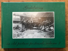 Godalming in Old Picture