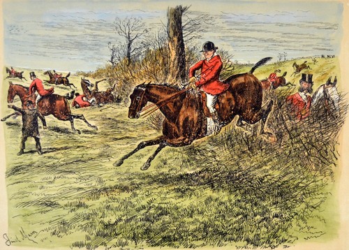 Cracker over the grass 1886 - grass,