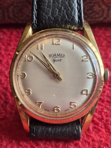 Vintage mens roamer - vintage, sport