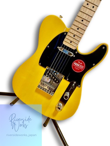 Squier telecaster guitar maple - squier,