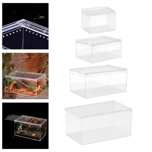 Reptile breeding box - reptile,