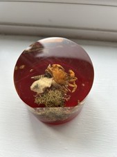 Vintage Crab Seascape scene -