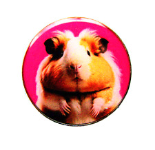 A Lovely Guinea Pig Circular