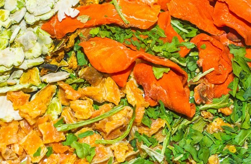 Forest aquatics mixed dried - forest,