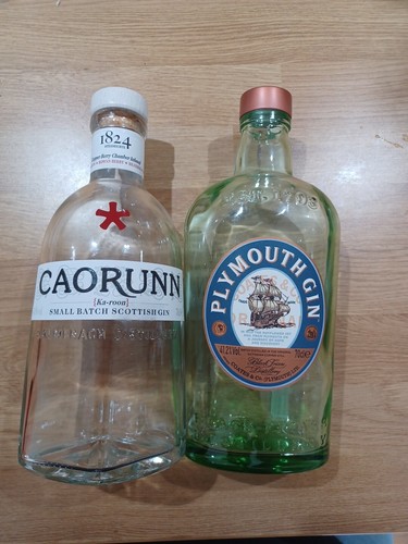 Caorunn gin and plymouth - plymouth,