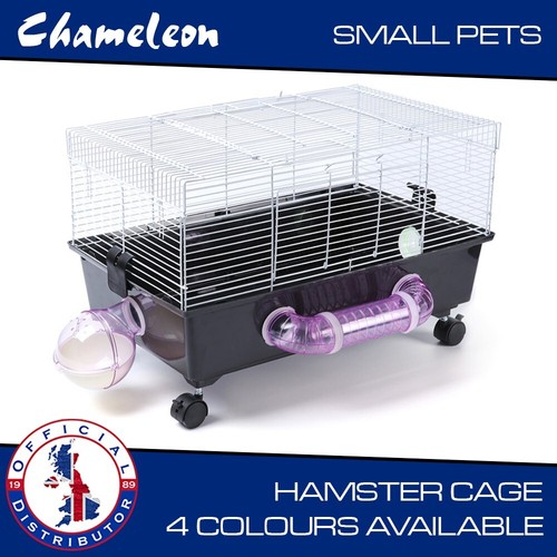 Large animal hamster - hamster, cage