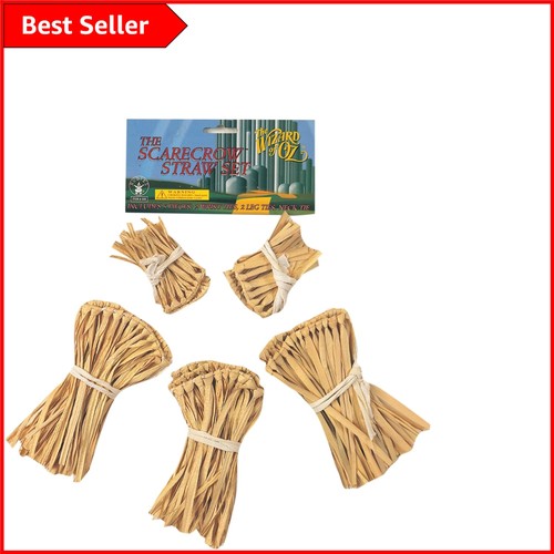 Complete scarecrow costume - complete,