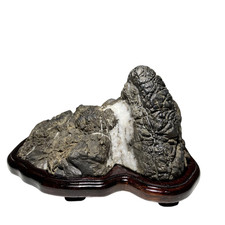 Suiseki Viewing Stone Bonsai
