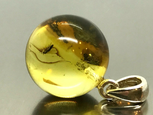 Amber pendant insect gift - insect,