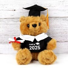 Class of 2025 Graduation Bear