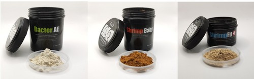 Glasgarten bacter baby - ae,