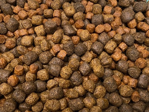 Large floating cichlid pellets - large,