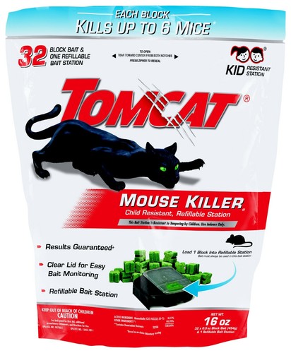 Tomcat mouse killer - tomcat, child