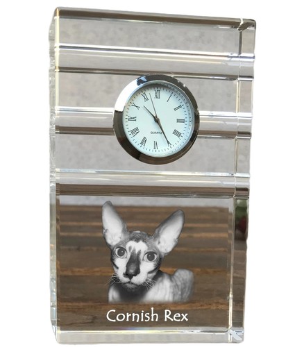 Cornish rex three striped - cornish,