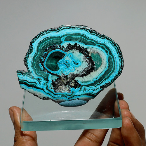 Chrysocolla malachite slab - slab, •