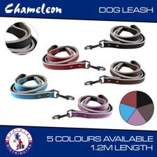 Pet Lead Dog Puppy  Leash