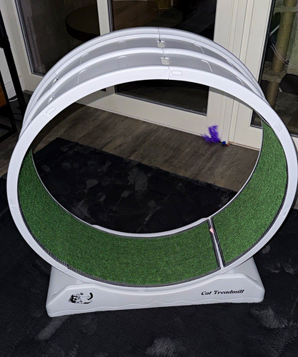 Cat exercise wheel - cat, treadmill
