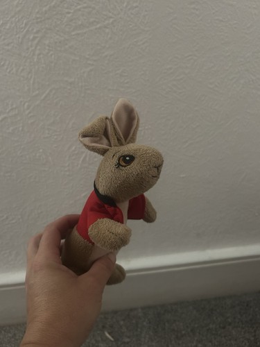 Rabbit bunny children - rabbit, children’s