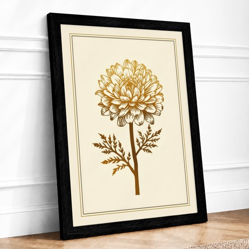 Chrysanthemum study botanical - study,