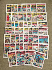 The Hornet comic full year