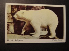 DANDY GUM WILD ANIMALS DANISH