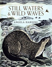 Still Waters & Wild Waves