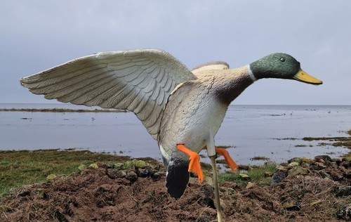 Duck decoys sportsplast - decoys, 1