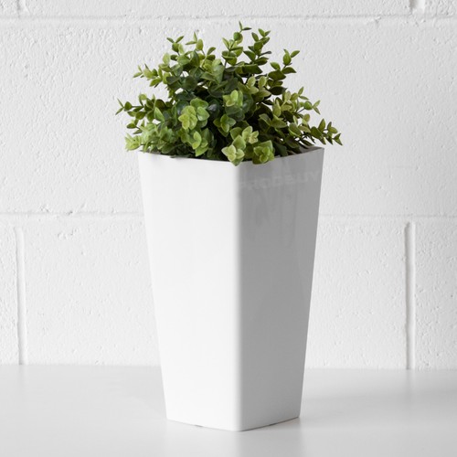 Set tall 29cm - of, plain