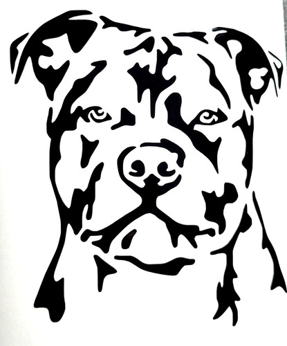 Staffordshire bull terrier - 1x,