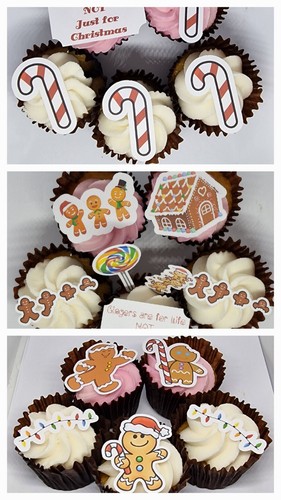 Christmas cake topper gingers