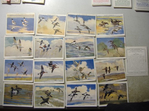 Players cigarette cards