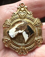 Wire Haired Fox Terrier